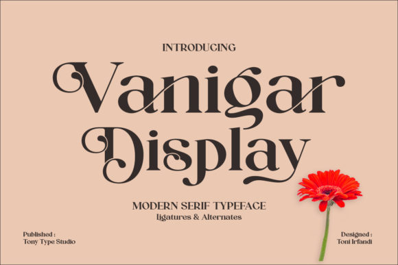 Discovering Vanigar Display for Real Branding Projects