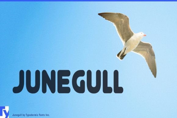 Finding the Junegull Typeface for a Warmer Digital Brand