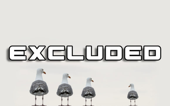 How the Excluded Display Font Elevates a Web Layout