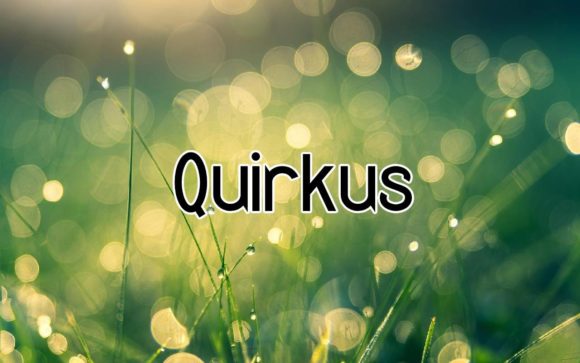Quirkus: The Bold Typeface for Standout Branding