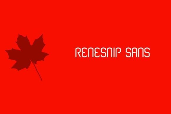 Renesnip Font: A Free Display Typeface That Elevated My Brand